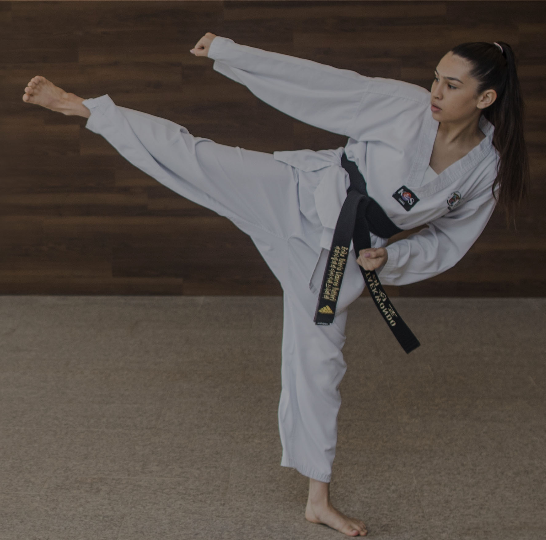 TAEKWONDO